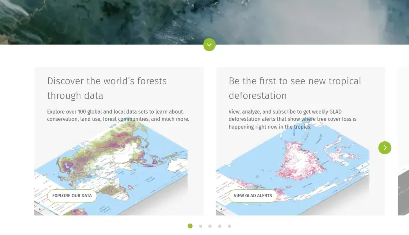Global Forest Website